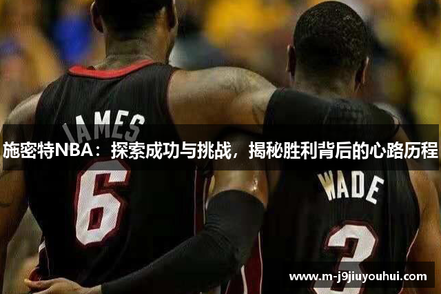 施密特NBA：探索成功与挑战，揭秘胜利背后的心路历程